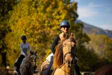 Bon cadeau : balade à cheval