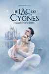 Spectacle : Le Lac des Cygnes