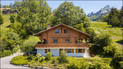 Appartement dans chalet - 50 m2 - 1 chambre - Mme Demarets