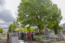 Le Printemps des Cimetières à Meythet