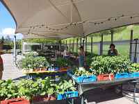 Pré-ouverture du jardin des cimes : terrasse & marché aux plantes