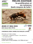 Conférence sur le Frelon asiatique
