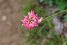Sortie biodiversité