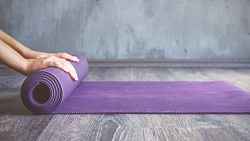 Yoga védique