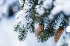 Le Chemin de Fanou Hiver