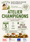 Atelier champignons