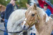 Fêtes locales, brocantes et foires, le programme en mai 2024 en Haute-Savoie