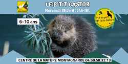 Les P'tits Experts de la Nature® - Le P'tit Castor