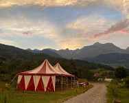 L'Oiseau de Passage