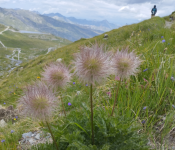 Sortie découverte de la biodiversité - Malgand