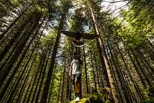 Rencontre avec un rapace