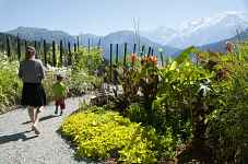 Rendez-vous au jardin... Des Cimes : Visite Guidée du Jardin