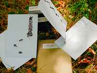 Inspiration action – performance en réseau