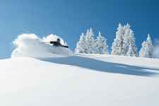 Pasquier Sports