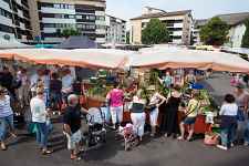 Grand marché du jeudi