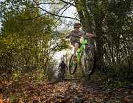 Le chemin du facteur  - Itinéraire vtt et Cross-country n°3