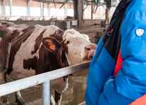 Visite et diner à la ferme