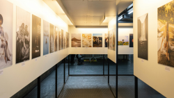 Exposition - Dans mon jardin, il y a...