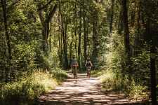 Bois de Vernaz