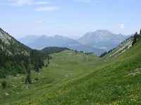 Les jeudis à l'alpage : le vrai goût de la montagne à la Servaz
