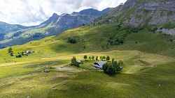 Stage alpages : écologie et pastoralisme