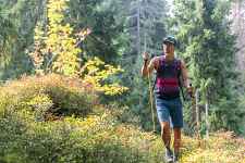Randonnée pédestre au "Col du Jaillet"