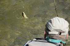 Pisciculture La Source Bleue - Nadejda