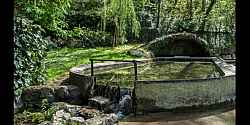 Fontaine Jules César