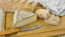 Conférence : Tout un fromage !