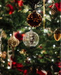 Distribution sapins de Noël