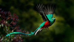 Rencontre - Les oiseaux d'ici et d'ailleurs