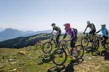 Trott’ Tonic  - Piste de descente VTT