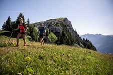 Randonnée 1/2 journée Le Roc des Tours