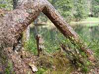 Randonnée "Le Tour de Petétoz"