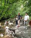 Canirandonnée avec husky - séance encadrée