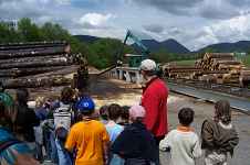 Centre de vacances Chalet des Forêts