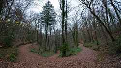 Boucle VTT du bois de ville