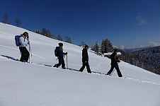 Sorties originales pour la journée du 26 février 2024