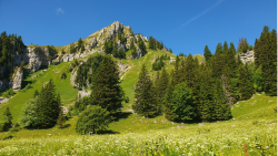 Itinéraire pédestre - Le circuit des Auges depuis les Glières