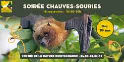 Soirée film chauves-souris