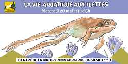 La vie aquatique aux Ilettes