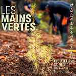 Atelier pratique : entretien de son orchidée