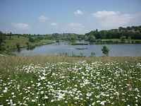 Aire de pique-nique - Lac de Machilly
