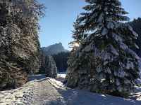 Itinéraire raquettes "Le Plan des Rasses"