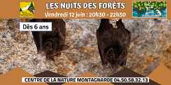Les Nuits des Forêts