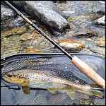 Sortie randonnée et pêche nature