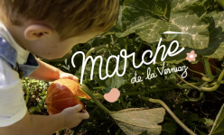 Marché de la Verniaz - Terroir de Haute-Savoie