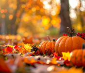 Fête d'automne