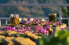 Balade : Apéro sauvage