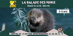La Balade des Minis : le mini castor